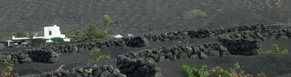 El Chupadero, Lanzarote: the bleak, volcanic vineyards