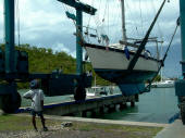 Grenada haulout