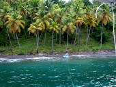 Malgretout, St Lucia: casting off our line ashore