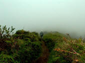 Walking in the clouds on top of Mt Pelee