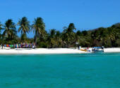 Tobago Cays: Petit Bateau