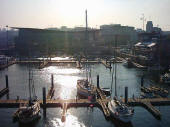 La Coruna marina: Free Spirit's on the left