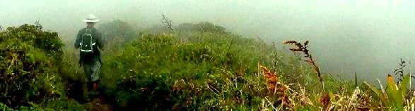 Mount Pelee, Martinique: walking in the clouds